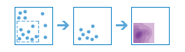 Three-part diagram that results with a focus on a particular set of points Three-part diagram that results with a focus on a particular set of points